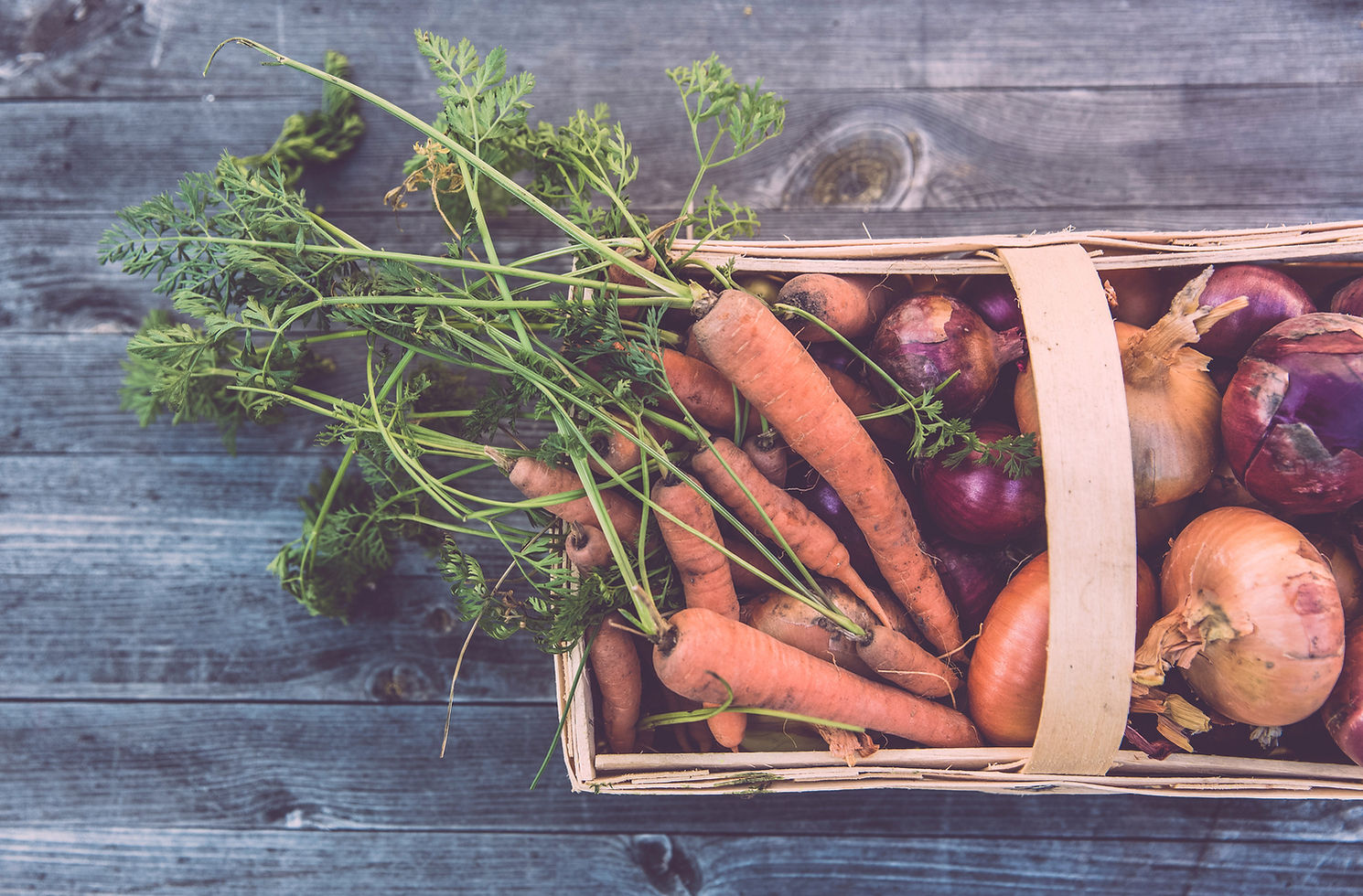 Basket of Organic Vegetables