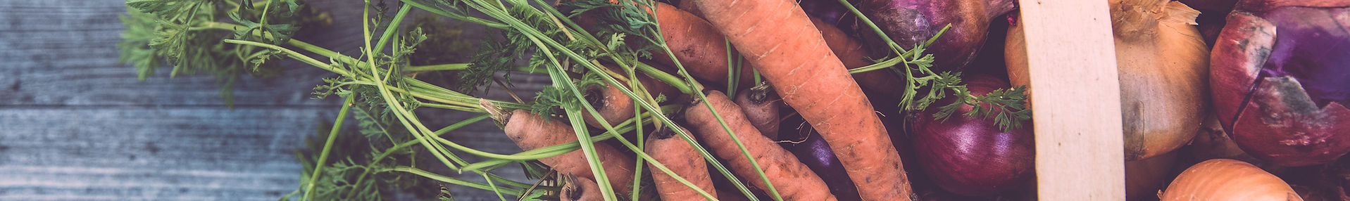 Basket of Organic Vegetables