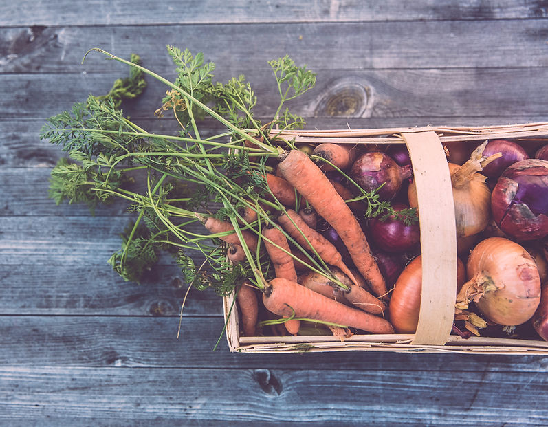 Basket of Organic Vegetables
