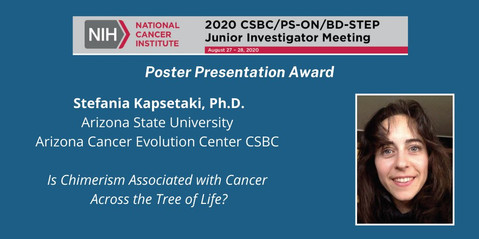 Stefania Kapsetaki - Στεφανία Καψετάκη - Poster Presentation Award