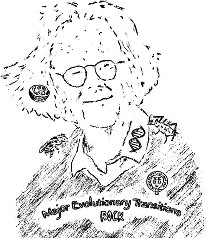 John Maynard Smith - pioneer in the field of major evolutionary transitions in individuality