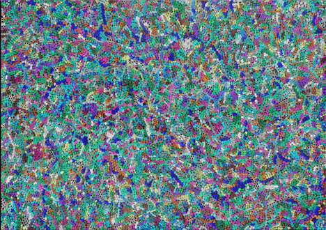 Colours