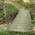 20250601_080520.jpg