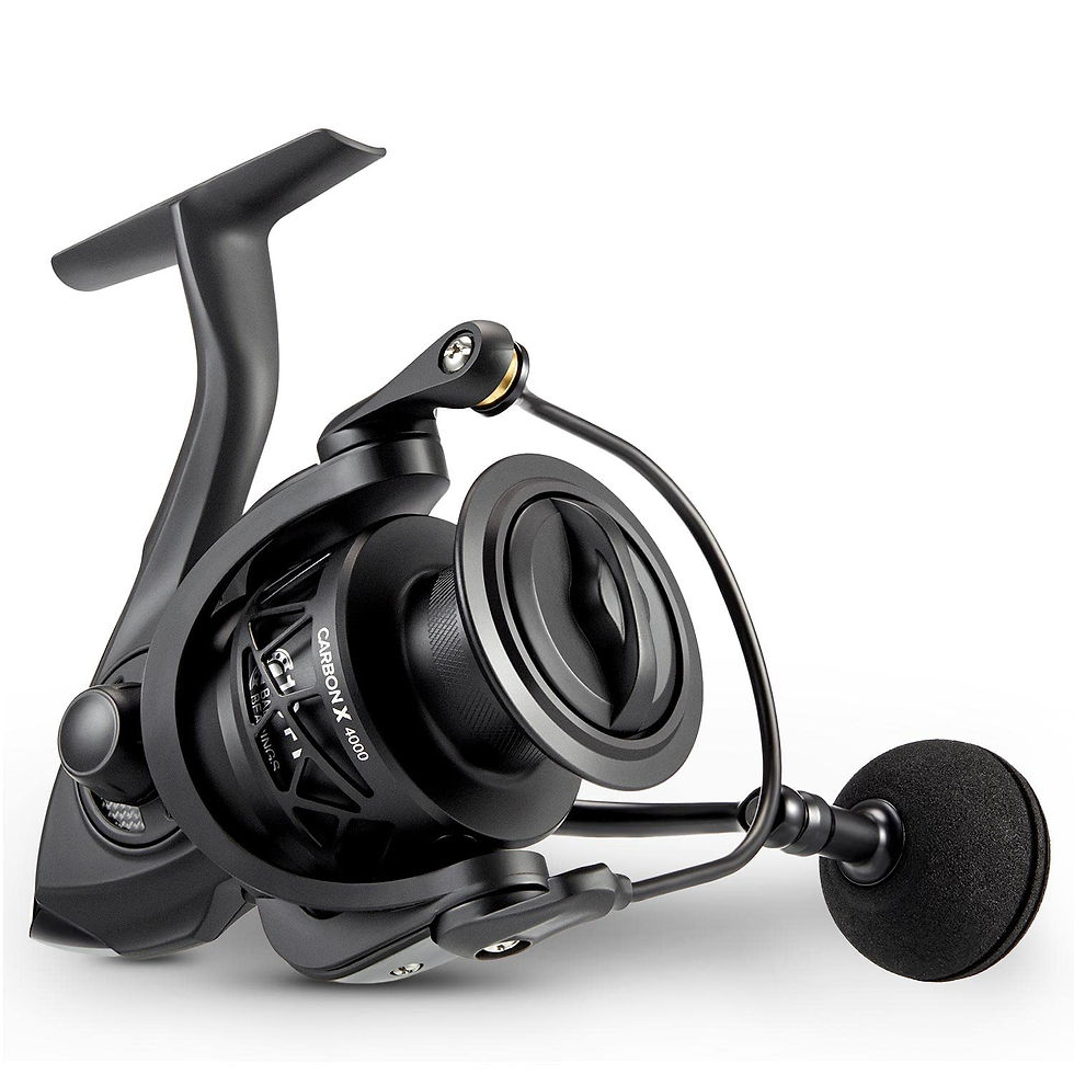 PISCIFUN - Carbon X Spinning Reels, Light to 9.8oz, 6.2:1 High Speed Gear