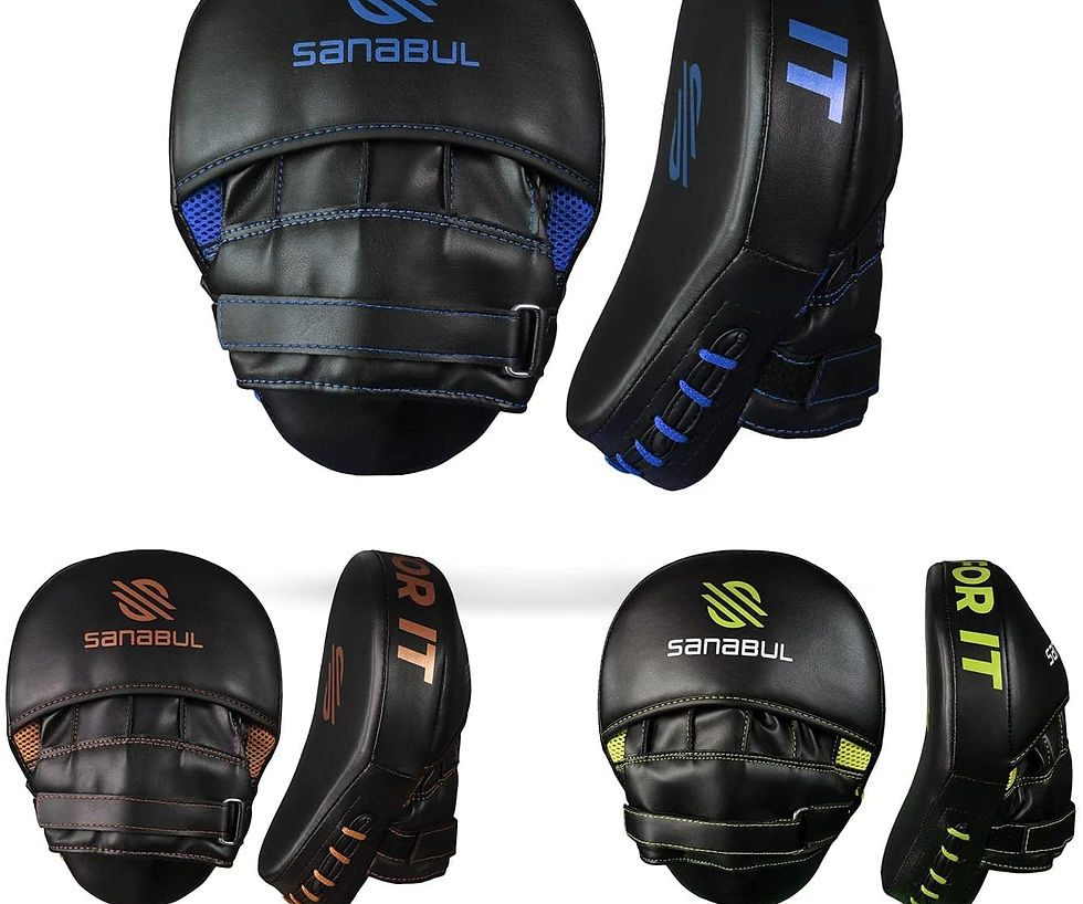 SANABUL - Essential Curved Punching Mitts for Boxing, MMA Muay Thai Boxing