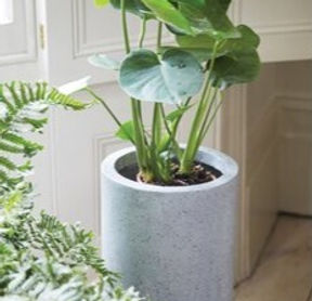 Accessories Sub Category 