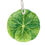 Thumbnail: Cabbage Leaf Gift Tag Set