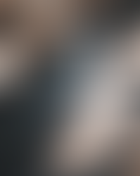 Möwen auf Liberty Island in New York