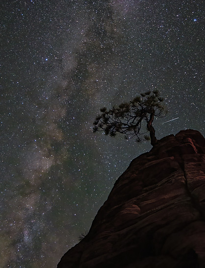 stargazing.jpg