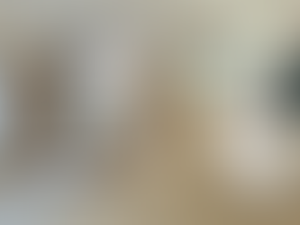 牽晴間 429呎｜兩房木系簡約風格