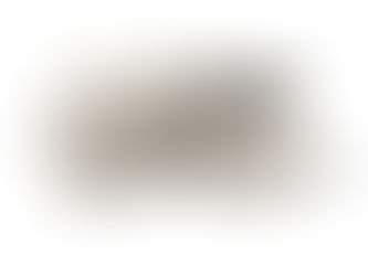 The best gas grill under 300