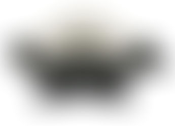 Top best weber propane grills