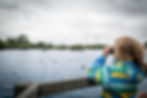 Child in a colorful jacket uses binoculars to watch ducks on a lake. Overcast skies, trees, and power lines in the background create a peaceful mood.
