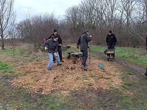 Volunteers shoveling wood chip into wheelbarrows