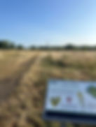 view on leyton marsh