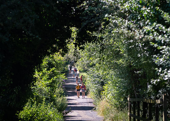 people walking along a path in summer
