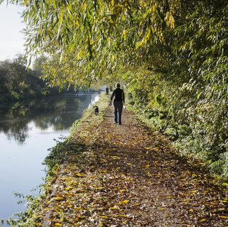 Person walking along the autumnal tow path