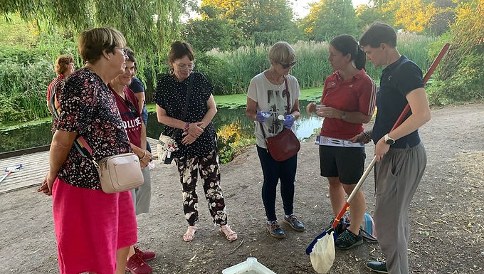 Adults and Community Groups