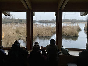 People watching from the hide
