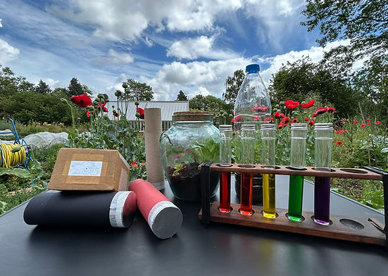Pinhole camera, terrarium and acid aliki rainbow set up in the Kitchen Garden