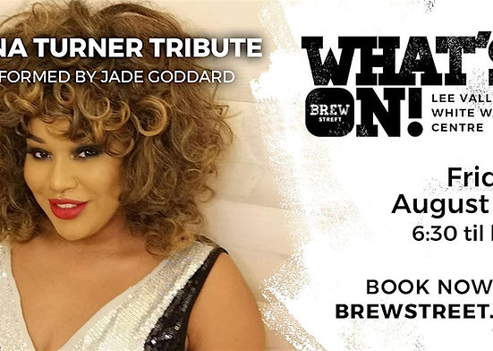 poster for tina turner event