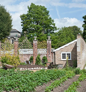 View of the Kitchen Garden
