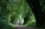 Family walking down Waltons Walk