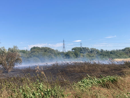 Smouldering grass fire