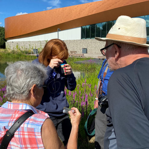 Bumblebee survey