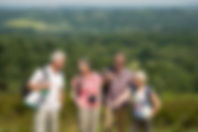 Four walkers smiling in the sunshine, in front of a green landscape