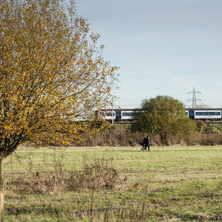 People walking in the distance with autumnal trees and grass in the forground
