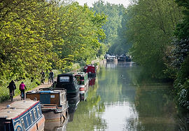 Narrowboats moored against river bank
