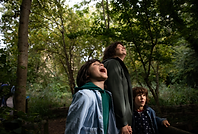 boy looking up to the sky