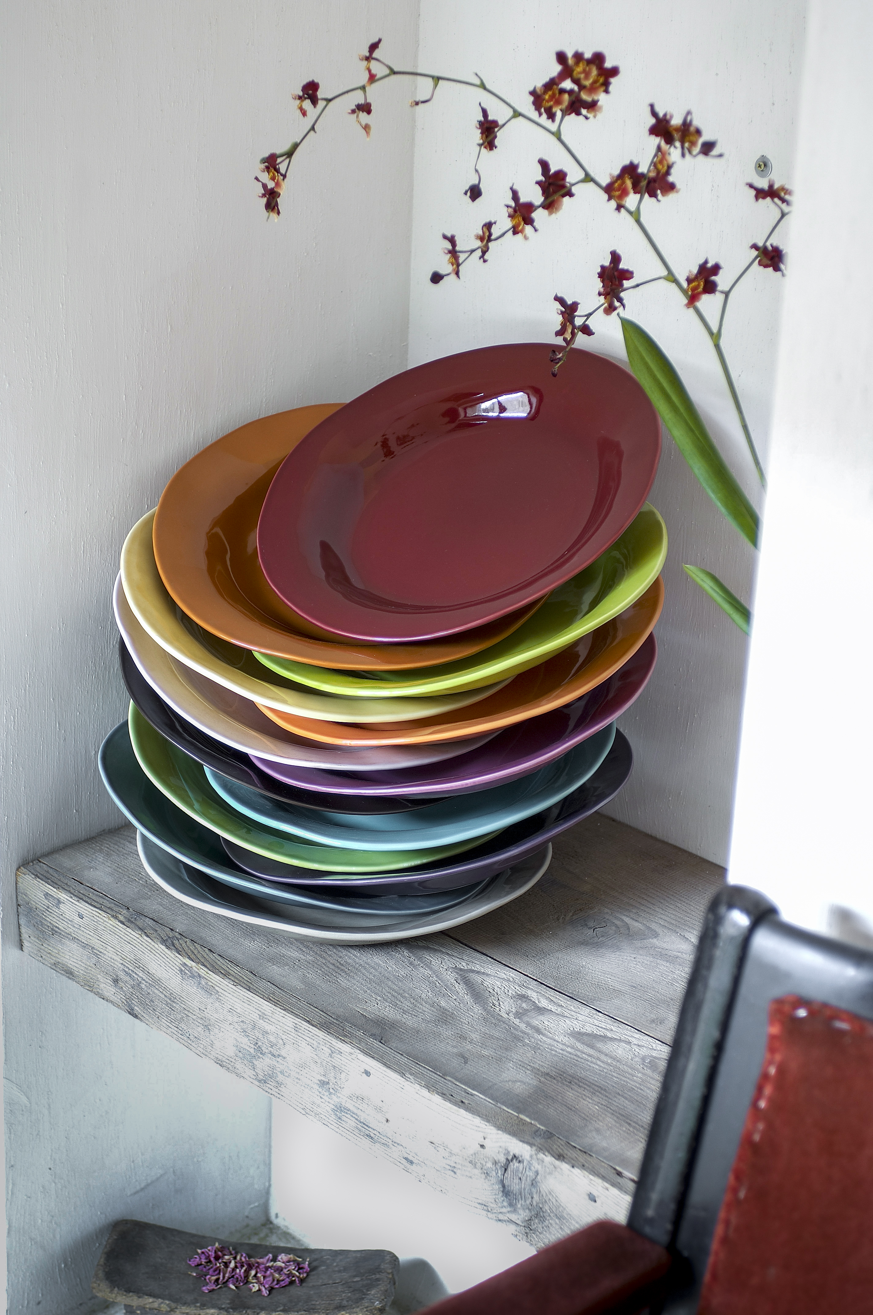 Plats Terra
