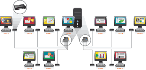 dynamic networks