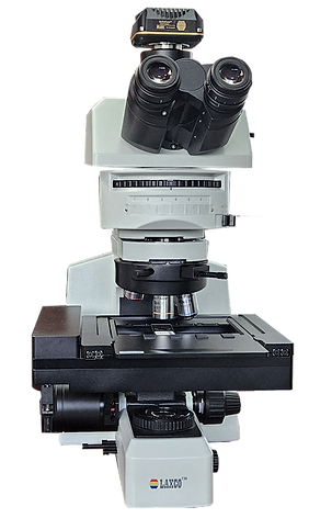 Accuva ARM5 No Bkgd.png