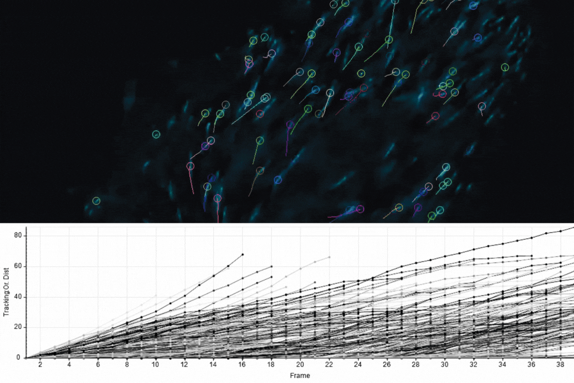 Visualize and Explore​ Data in Real Time.gif