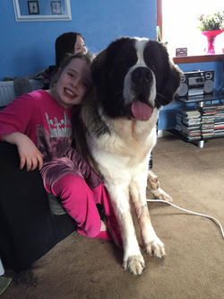 13007176_1079878498736053_5210427111424169611_n