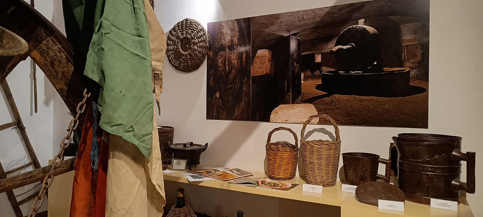 WhatsApp Image 2026-01-14 at 19.23.35 (1).jpeg