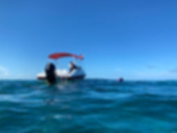 File_005.jpeg