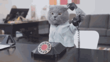 tenor-1.gif