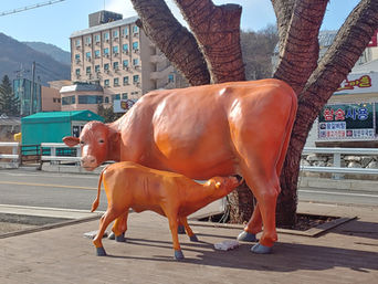 충주시 앙성면 참한우마을