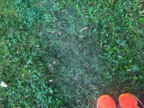 Bewegung vor dem Frühstück: Warum es für Übergewichtige keine Alternative gibt – und wie ich selbst den Weg gehe!