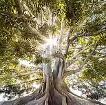 Image by Jeremy Bishop