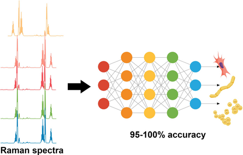 Progetti di machine learning per potenziare il curriculum