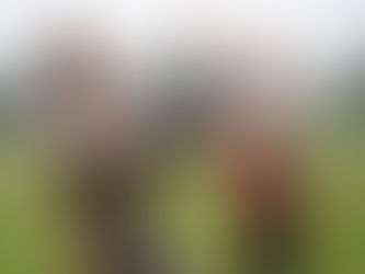 Touch rugby: inclusivity and accessibility