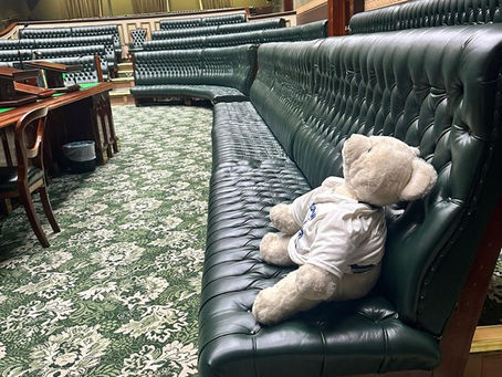 Schuman, the EP XV mascotte, on the benches of the New South Wales Parliament