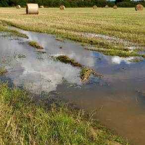 Local Land Services offering intermediate recovery & assessment after flood sessions