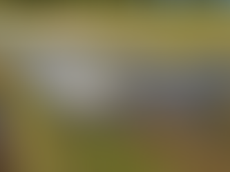 Local Land Services offering intermediate recovery & assessment after flood sessions