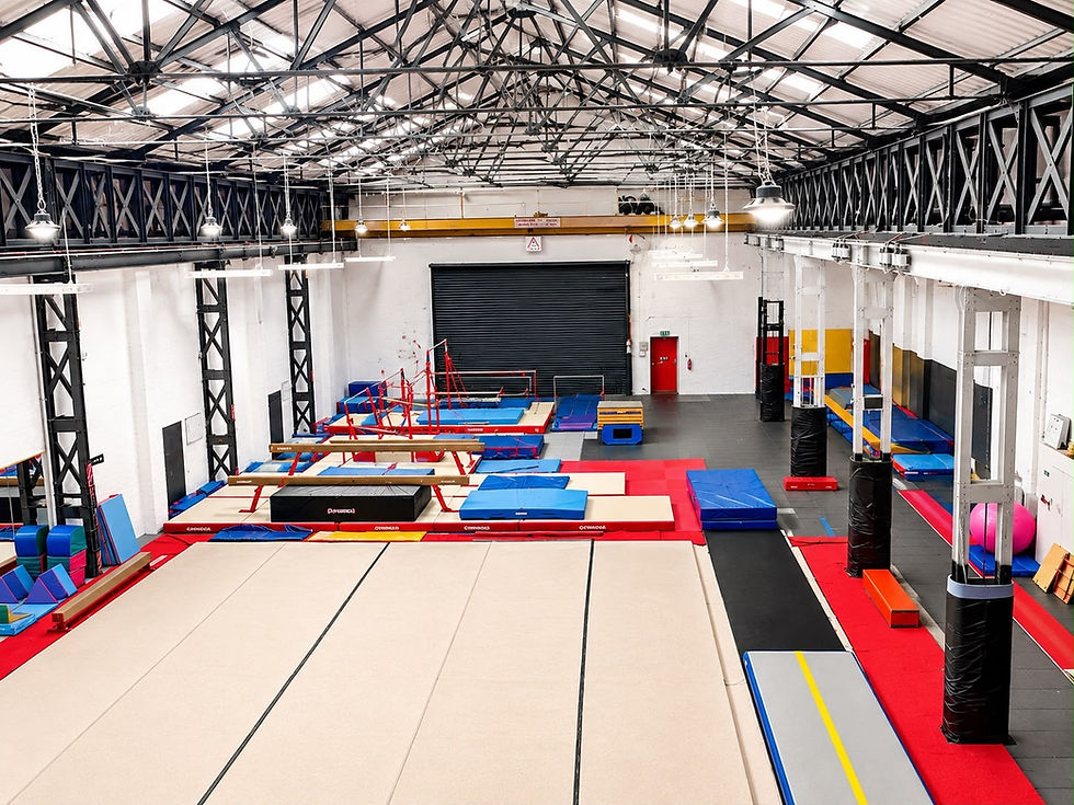 The Gym.JPG